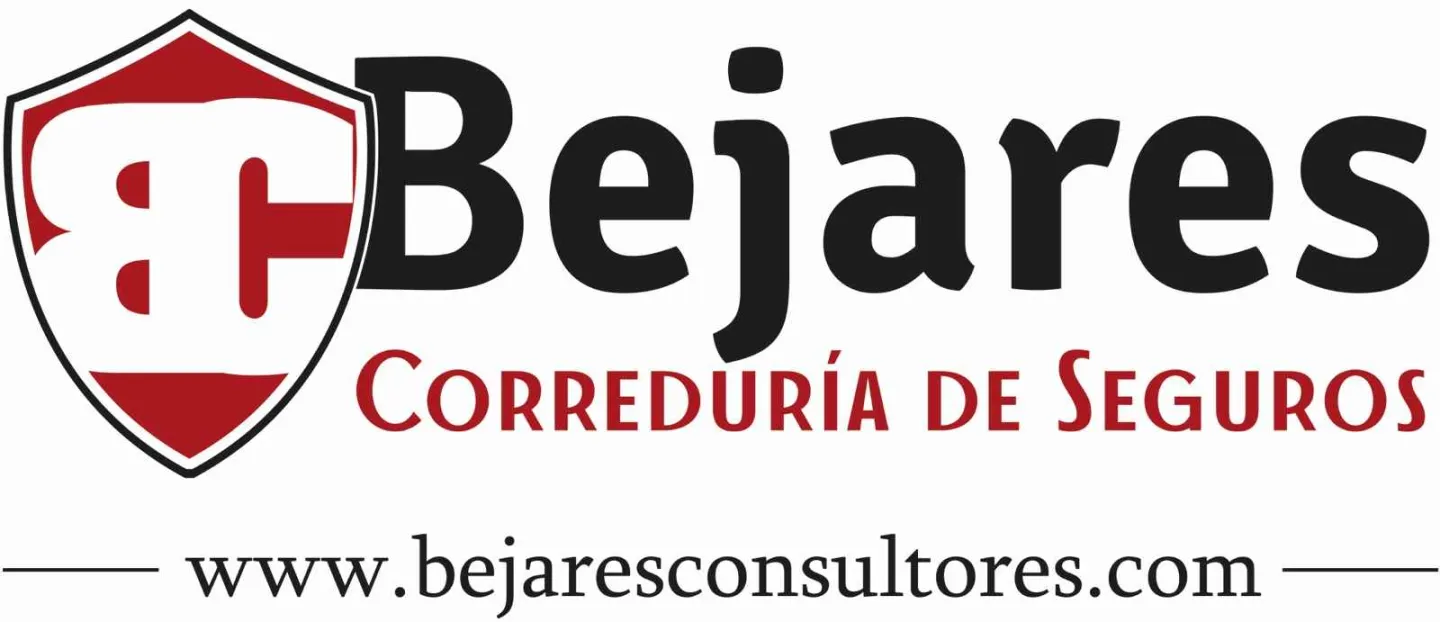 Bejares Consultores